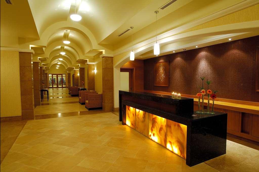 Divan Ankara Nội địa bức ảnh